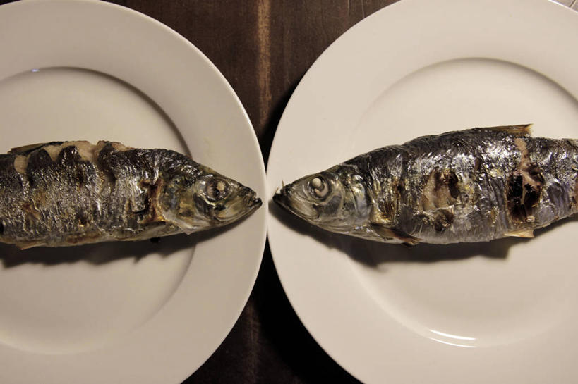 无人,横图,俯视,室内,特写,日本,木制,饮食,两个,盘子,摄影,鲱鱼,海产,彩图,高角度拍摄