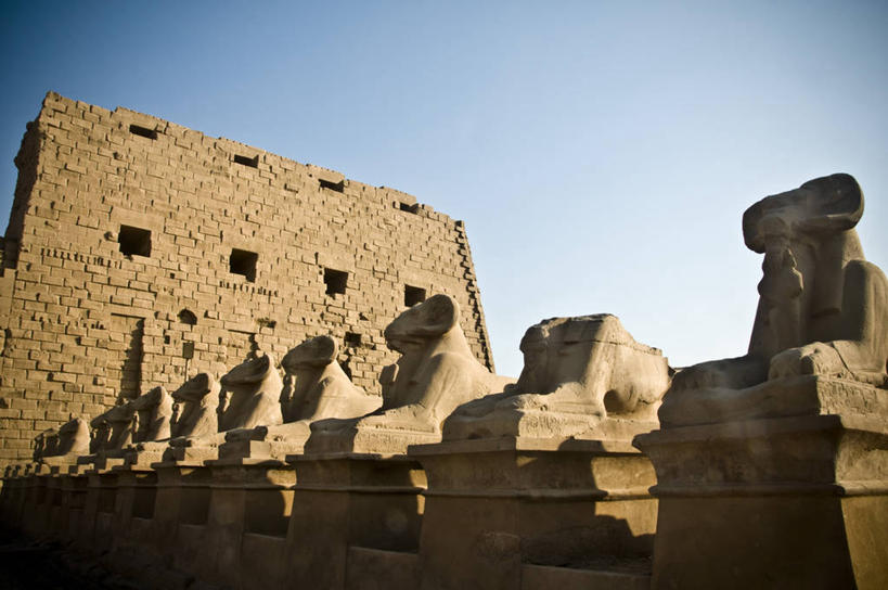 无人,横图,室外,白天,建筑,日光,埃及,一排,阴影,整齐,雕像,历史,排列,摄影,宗教,中东,队列,卡尔纳克神殿,万里无云,埃及文化,彩图,埃及卢克索