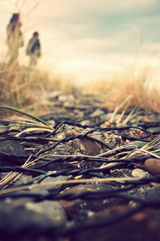 竖图,室外,特写,白天,爱尔兰,草,天空,鹅卵石,力量,摄影,保护,金属丝,威克洛郡,彩图