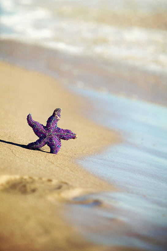 无人,竖图,室外,白天,海星,法国,湿,沙子,紫色,星形,摄影,创造力,手艺,想法,海滩,彩图