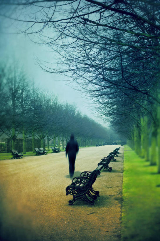 成年人,一个人,竖图,室外,白天,寂寞,英国,仅一个男性,长椅,小路,首都,草,停车,背面,天空,摄影,步行,彩图,林荫大道