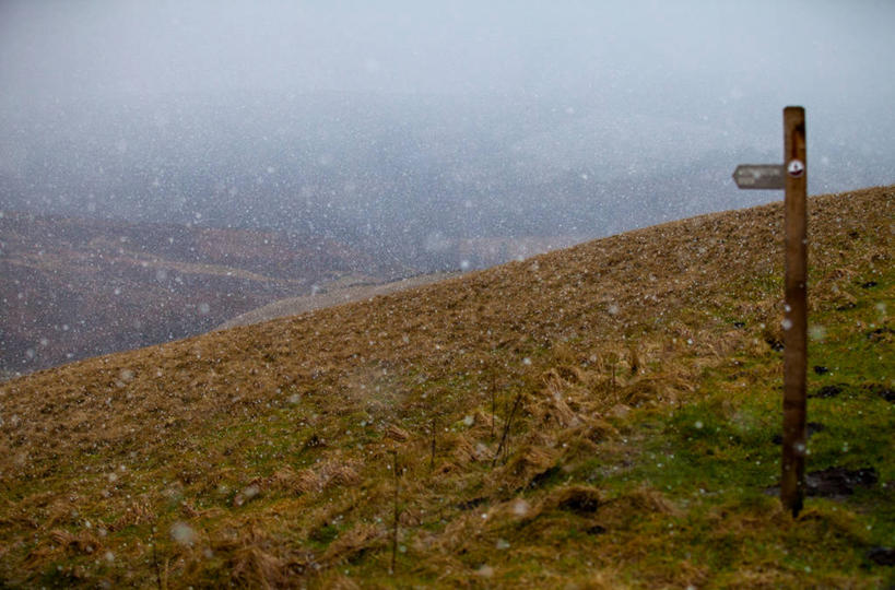 无人,横图,室外,白天,美景,雪,雾,英国,景观,旷野,冬天,天气,草,自然,景色,寒冷,摄影,宁静,自然风光,柴郡,巴克斯顿,彩图