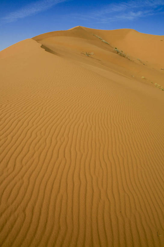 无人,竖图,室外,白天,沙漠,波纹,地形,云,沙丘,首都,风景,天空,自然,摄影,宁静,波斯湾,沙特阿拉伯,利雅得,彩图