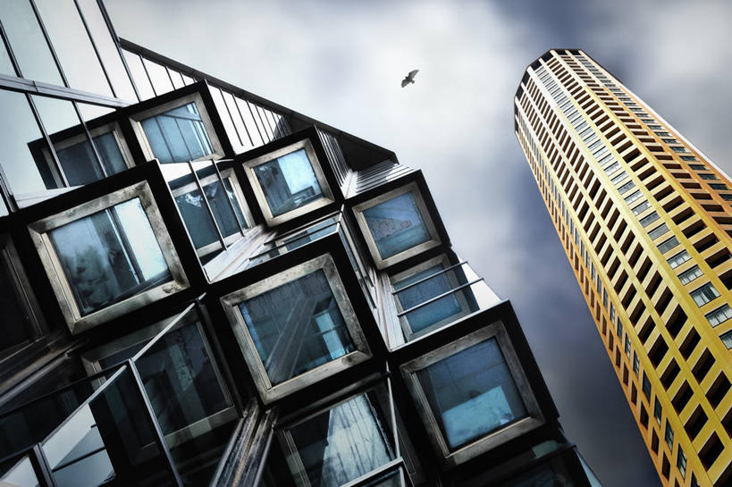 无人,横图,俯视,室外,白天,城市,建筑,摩天大楼,东京,日本,鸟类,云,首都,天空,摄影,照明设备,新宿区,彩图,高角度拍摄