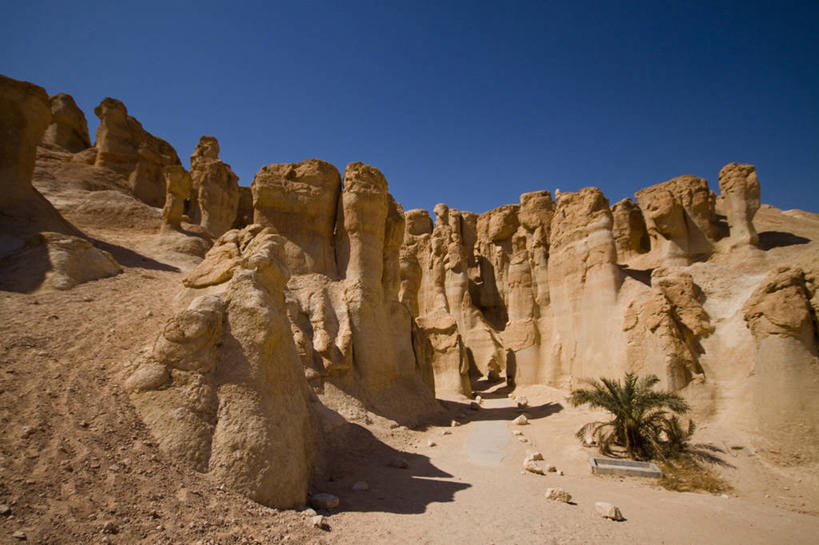 无人,横图,室外,白天,日光,沙子,树,自然,地标建筑,摄影,岩层,波斯湾,沙特阿拉伯,万里无云,自然地理,岩石,彩图