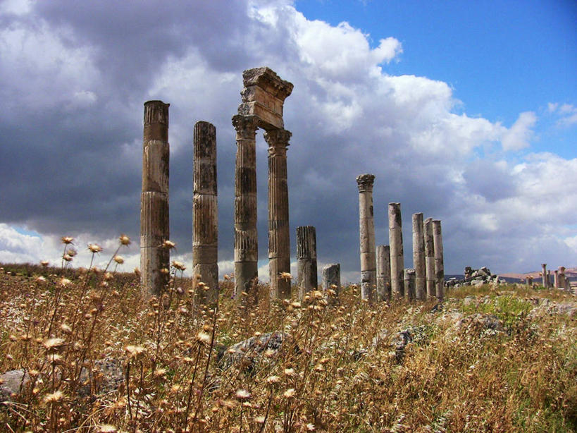 无人,横图,室外,白天,叙利亚,柱子,田地,云,历史,废墟,花,天空,自然,摄影,积雨云,干的,彩图,阿帕米亚