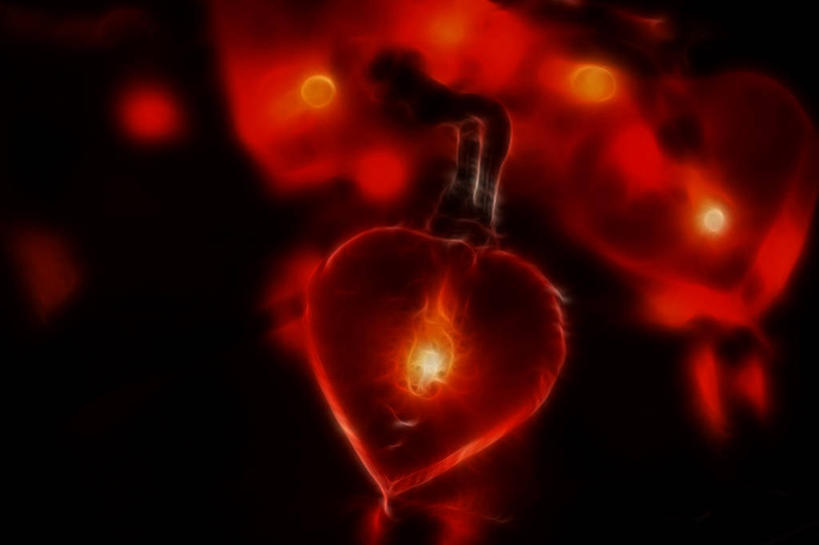 无人,横图,室内,特写,夜晚,正面,长时间曝光,法国,庆祝,发光,红色,摄影,照亮,照明设备,伊夫林省,想法,心型,彩图,爱,分形