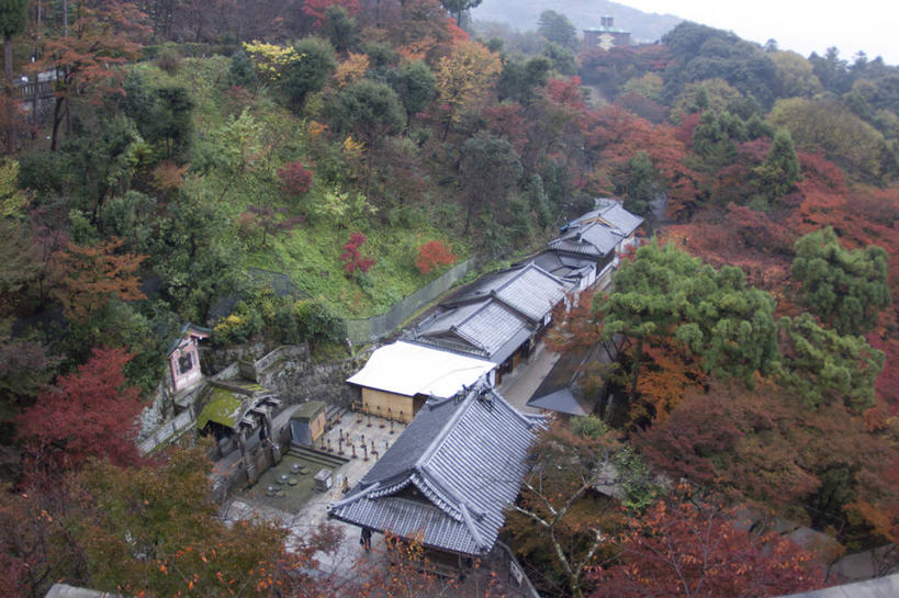 无人,横图,俯视,航拍,室外,白天,建筑,日本,树,自然,摄影,宗教,京都府,宁静,鸟瞰,清水寺,京都市,彩图,高角度拍摄