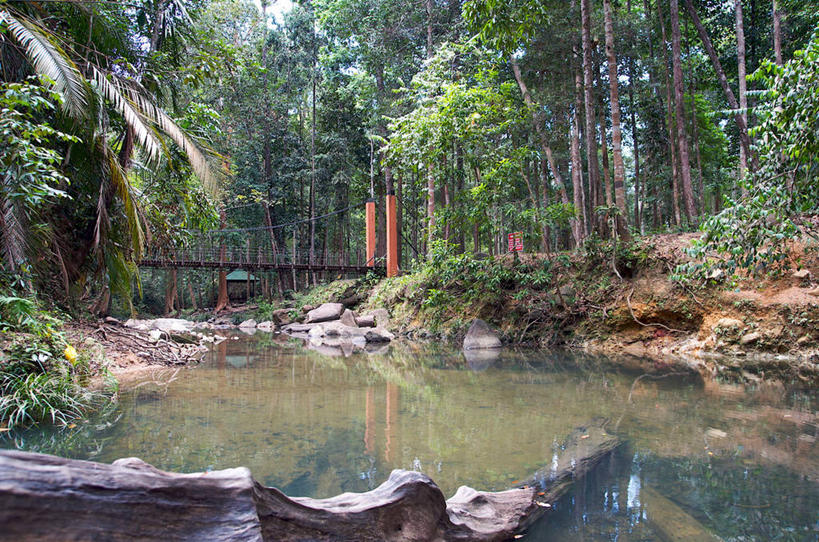 无人,横图,室外,白天,水,马来西亚,反射,桥,联系,树,自然,摄影,宁静,国家公园,岩石,彩图,柔佛