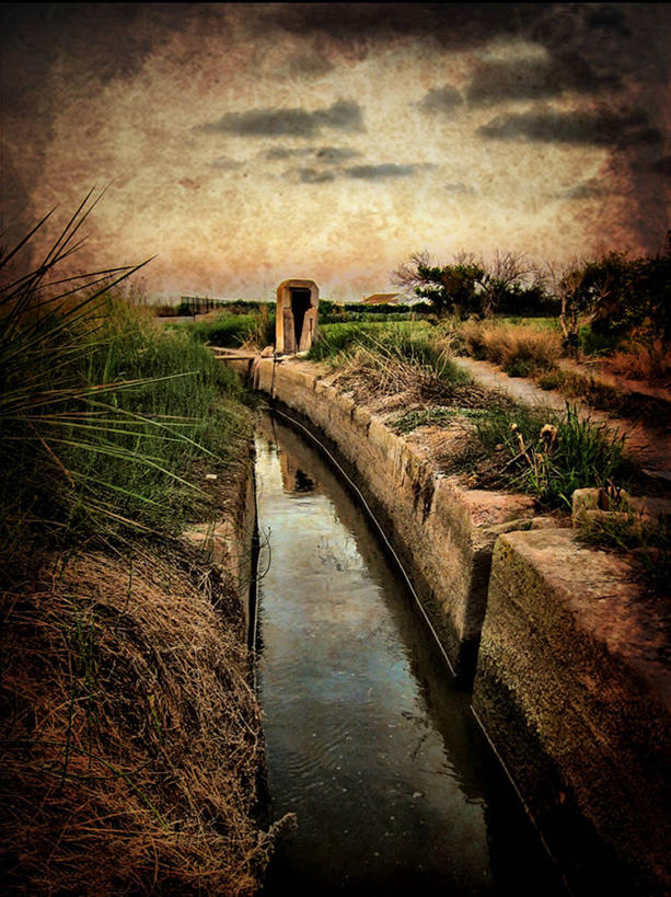 无人,果园,竖图,室外,白天,农业,水,植物,西班牙,田地,云,风景,自然,摄影,宁静,肌理,灌溉设备,巴伦西亚省,彩图