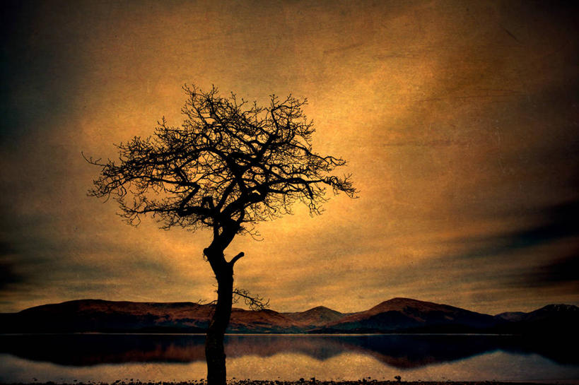 无人,横图,室外,湖,日落,山,英国,反射,云,苏格兰,树,风景,自然,摄影,宁静,剪影,洛蒙德湖,彩图