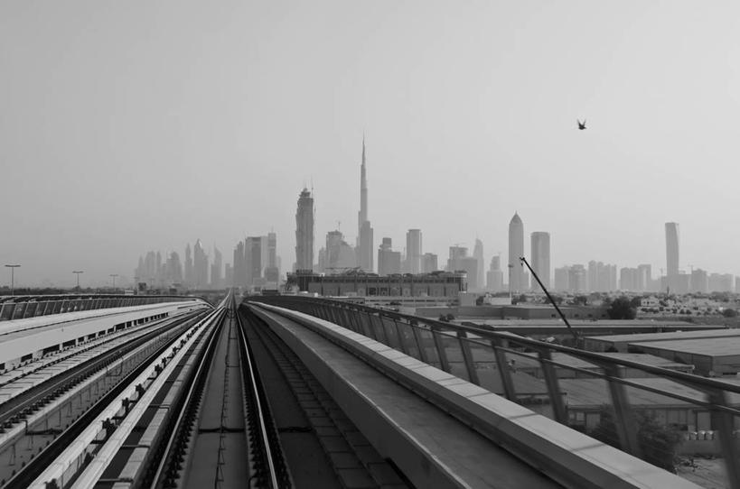 无人,横图,黑白,室外,天际线,城市,建筑,鸟类,塔,黎明,飞,天空,摄影,阿拉伯联合酋长国,迪拜,波斯湾