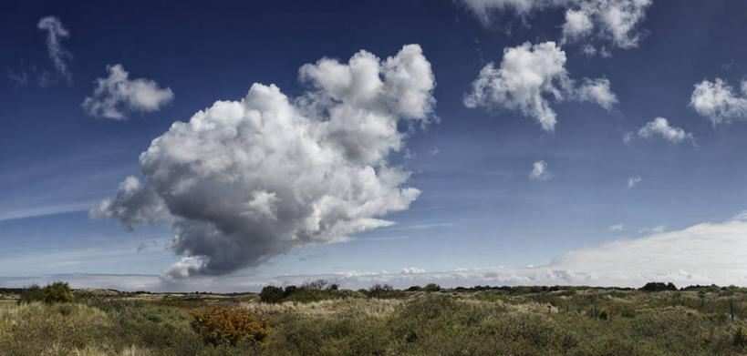 无人,横图,全景,室外,白天,美景,荷兰,地形,景观,云,草,天空,自然,景色,摄影,宁静,自然风光,弗里斯兰省,彩图