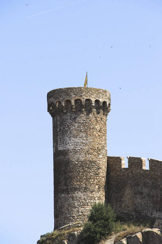 无人,竖图,室外,白天,植物,建筑,西班牙,城堡,塔,历史,地标建筑,摄影,万里无云,赫罗纳省,岩石,彩图