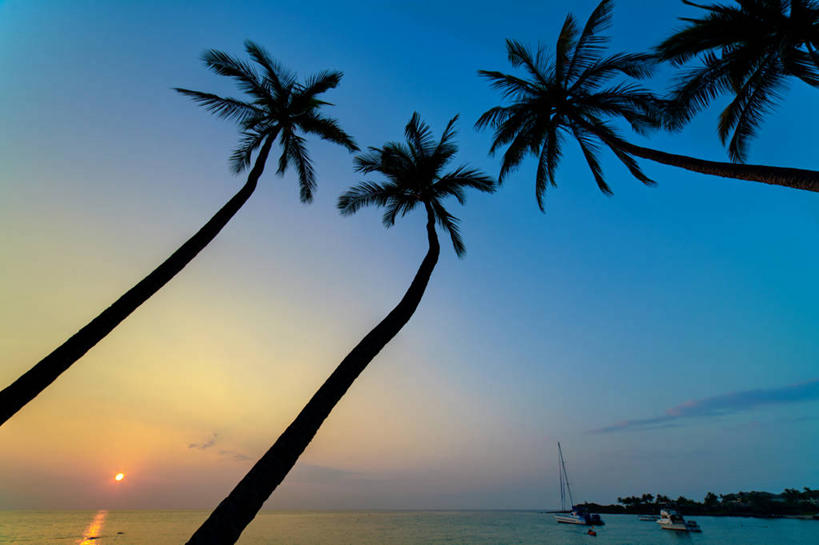 无人,横图,室外,岛屿,海洋,日落,太阳,船,棕榈树,夏威夷,美国,水平线,云,天空,自然,运输,摄影,北美,北美洲,美洲,剪影,夏威夷岛,夏威夷州,爱洛哈之州,比格岛,北亚美利加洲,亚美利加洲,大岛,太平洋岛屿,列岛,群岛,诸岛,彩图,科纳市,美利坚合众国,皮船