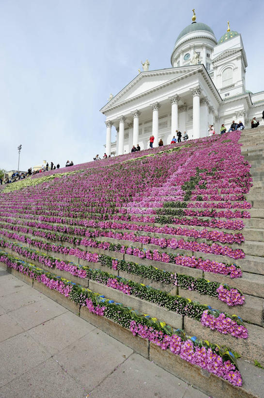 竖图,室外,白天,仰视,欧洲,芬兰,装饰,柱子,首都,历史,台阶,花,粉色,摄影,宗教,创造力,基督教,宗教建筑,北欧,万里无云,芬兰共和国,赫尔辛基,赫尔辛基德教大教堂,南芬兰省,彩图,低角度拍摄,大教堂
