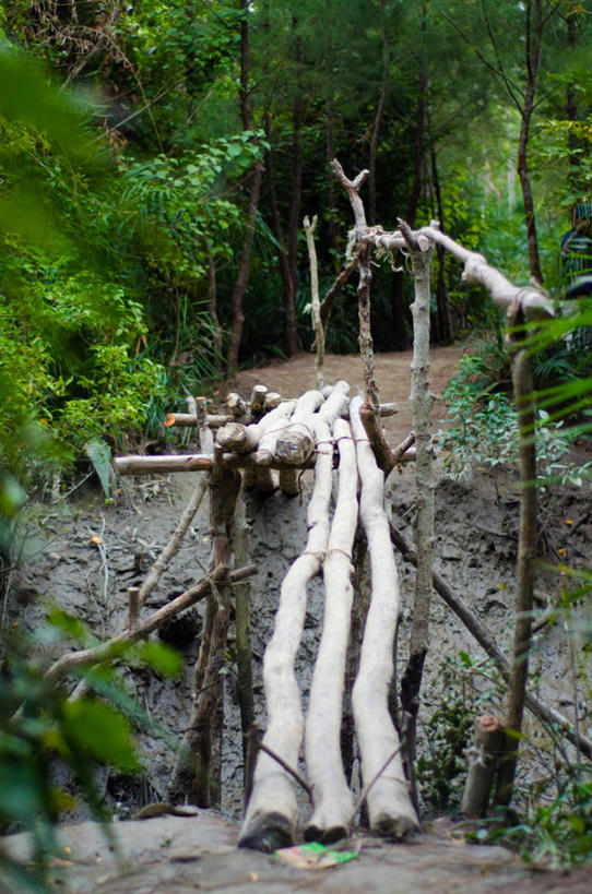 无人,竖图,室外,白天,孟加拉国,亚洲,桥,联系,树,自然,摄影,宁静,南亚,孟加拉人民共和国,彩图