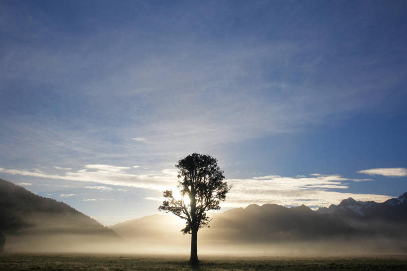 无人,横图,室外,白天,日出,美景,山,雾,新西兰,景观,云,树,风景,自然,景色,摄影,宁静,自然风光,马瑟森湖