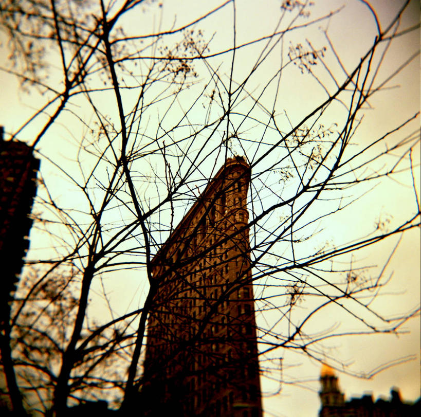 无人,横图,室外,仰视,商务,城市,建筑,纽约,枝,树,黄昏,摄影,纽约州,低角度拍摄