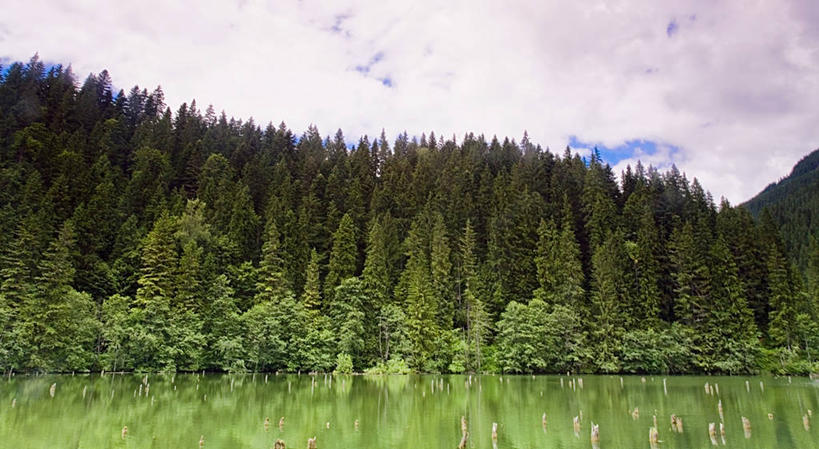 无人,横图,室外,白天,仰视,湖,美景,森林,罗马尼亚,景观,云,树,绿色,风景,自然,景色,摄影,生长,宁静,自然风光,特兰西瓦尼亚,红湖,低角度拍摄