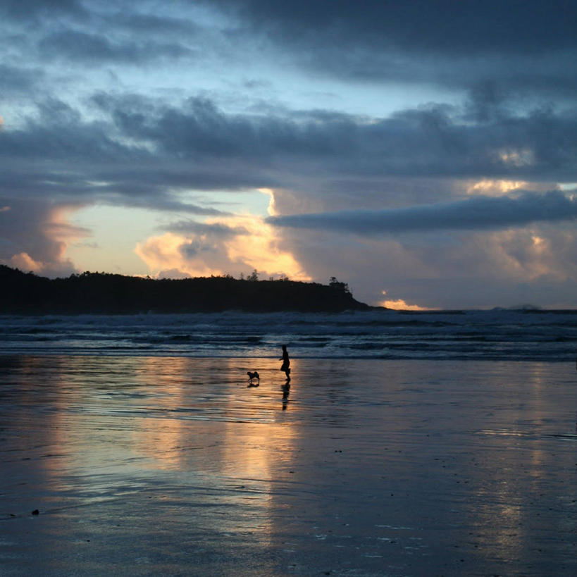 一个人,跑,方图,侧面,海洋,狗,加拿大,湿,朦胧,模糊,反射,沙子,云,天空,黄昏,摄影,宁静,享乐,剪影,慢跑,休闲活动,独处