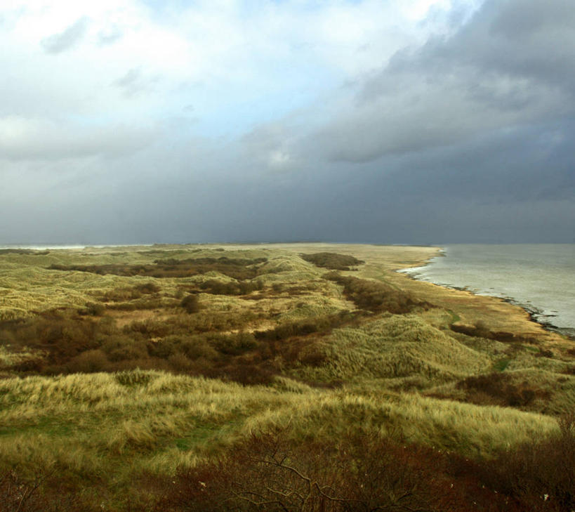 无人,横图,室外,白天,自由,草地,海洋,荷兰,岛,地形,海岸线,水平线,田地,云,草,风景,天空,自然,摄影,宁静,弗里斯兰省,独处