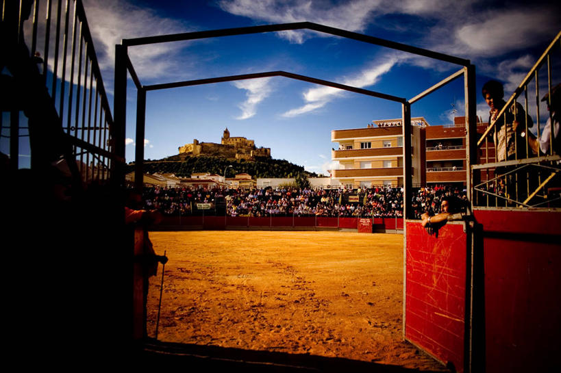 人群,横图,室外,白天,锻炼,快乐,比赛,运动,竞争,斗牛,建筑,西班牙,庆祝,娱乐,斗牛场,刺激,休闲,摄影,体育运动,群众,伊比利亚半岛,体育,休闲活动,健身,西班牙斗牛,传统文化