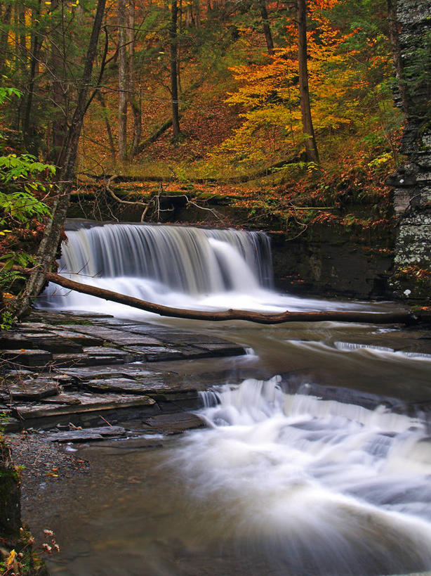 无人,竖图,室外,白天,河流,美景,瀑布,森林,水,美国,景观,流水,树,自然,景色,摄影,自然风光,捷克共和国,纽约州,摩拉维亚,秋天