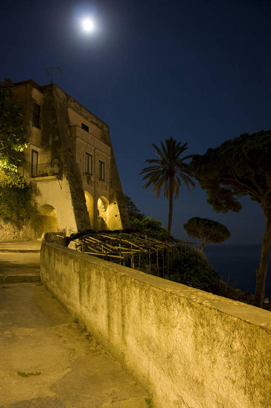 无人,竖图,室外,夜晚,植物,棕榈树,叶子,意大利,欧洲,房屋,乡村,月亮,城镇,围墙,混凝土,绿叶,光亮,树,树木,绿色,天空,自然,嫩叶,摄影,生长,成长,照亮,南欧,棕榈叶,意大利共和国,坎帕尼亚,萨勒诺,阿马尔菲海岸,阿玛尔菲海岸,阿马尔菲,阿玛菲海岸,坎帕尼亚大区,阿玛菲海岸风景区,萨莱诺,萨莱诺省,叶,叶片,棕树,棕榈