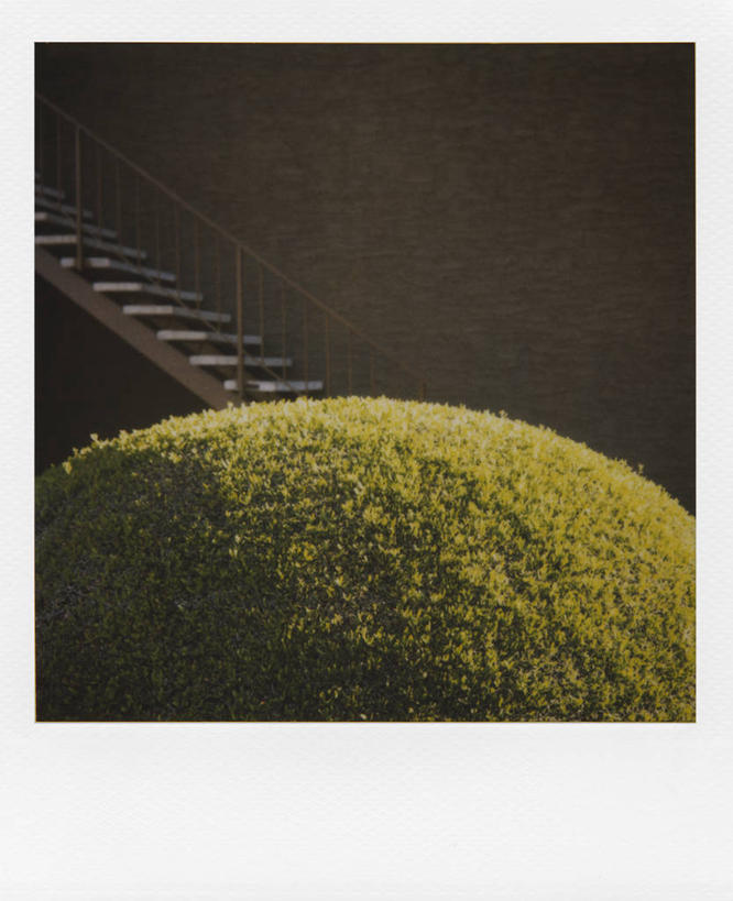 无人,竖图,室外,白天,夜晚,楼梯,美国,自然,摄影,灌木,怪异,环境,亚利桑那,旅行