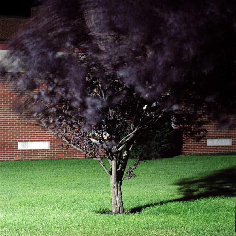 无人,竖图,室外,夜晚,运动模糊,长时间曝光,风,建筑,美国,阴影,墙,砖墙,草,树,摄影,北美,北美洲,美洲,俄亥俄州,北亚美利加洲,亚美利加洲,美利坚合众国,挨着