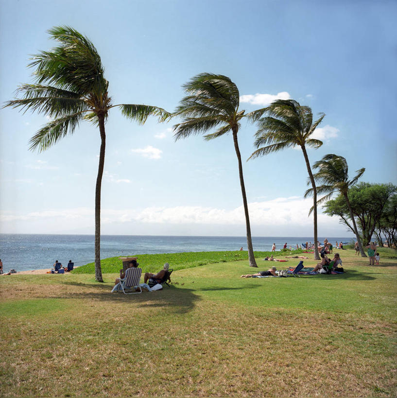 坐,竖图,室外,度假,草坪,海洋,美景,水,风,棕榈树,椅子,美国,朦胧,模糊,沙子,坐垫,庭院,地平线,景观,水平线,云,座位,草,天空,自然,景色,放松,摄影,环境,享乐,自然风光,瓦胡岛,野餐垫,野餐地毯,多功能毯,太平洋岛屿,海滩,休闲活动,旅行