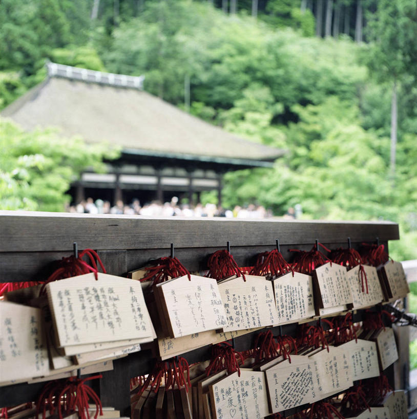 无人,竖图,室外,白天,重复,日本,亚洲,一排,许多,吊挂,悬挂,日本文化,整齐,木制,日文,标志,文字,字符,字母,很多,挂,标识,树,排列,摄影,宗教,佛教,京都府,组织,顺序,队列,东亚,经文,本州,本州岛,日本国,近畿地方,清水寺,近畿,京都市,灵性,旅行,传统文化