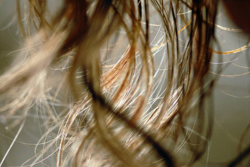 西方人,头发,一个人,横图,室内,特写,欧洲,美国,欧洲人,灰色背景,凌乱,金色,摄影,北美,北美洲,加利福尼亚,美洲,北亚美利加洲,亚美利加洲,白种人,影棚拍摄,美利坚合众国,短发