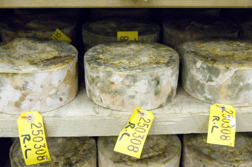 奶酪,无人,横图,室内,消费,家具,英国,一排,整齐,数字,文字,饮食,架子,排列,零售,摄影,奶制品,队列,北欧,价格标签,消息,硬干酪,健康食物,切达干酪,西南英格兰