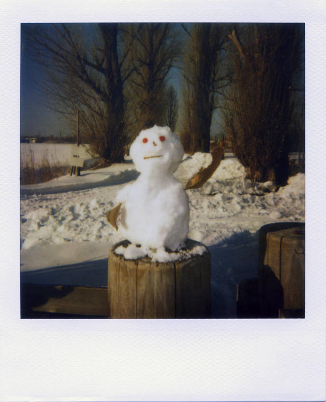 无人,竖图,室外,雪,雪山,北海道,日本,亚洲,庆祝,山顶,雪人,树桩,树,白色,天空,黄昏,寒冷,摄影,创造力,东亚,札幌,日本国,北海道地方,北海道岛,县厅,札幌市