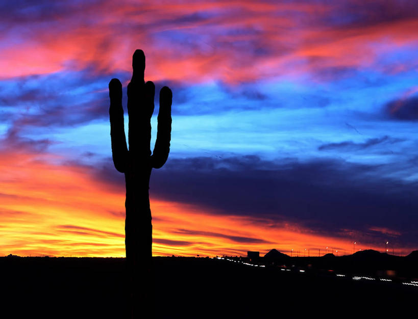 无人,横图,室外,仰视,美景,日落,植物,仙人掌,美国,景观,晚霞,霞光,落日,交通,红色,蓝色,风景,天空,自然,黄昏,橙色,景色,彩霞,摄影,宁静,环境,亚利桑那,自然风光,剪影,逆光,夕照,薄暮,夕阳,低角度拍摄,傍晚,斜阳,菲尼克斯市