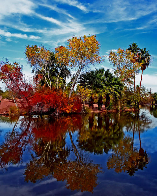 无人,竖图,室外,白天,仰视,旅游,度假,美景,日落,水,美国,对称,反射,景观,晚霞,霞光,云,落日,娱乐,风景,天空,自然,黄昏,享受,休闲,景色,彩霞,放松,摄影,宁静,亚利桑那,自然风光,改变,夕照,薄暮,完美,死水,秋天,夕阳,低角度拍摄,傍晚,斜阳,菲尼克斯市