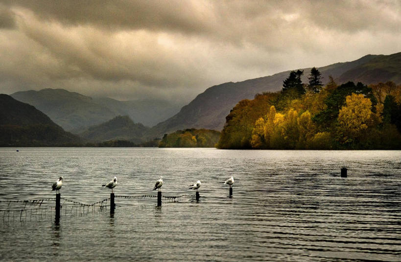 无人,坐,横图,室外,旅游,度假,湖,美景,山,山脉,野生动物,英国,一排,整齐,反射,鸟类,栅栏,景观,篱笆,云,娱乐,树,排列,风景,自然,黄昏,享受,休闲,景色,放松,摄影,五只,宁静,环境,队列,自然风光,北欧,德文特湖,旅行
