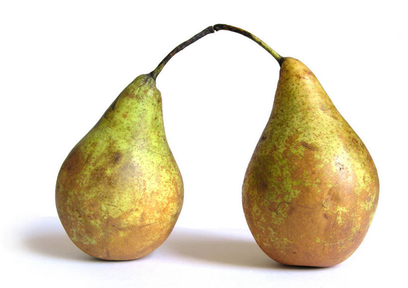 无人,横图,室内,特写,白色背景,梨,水果,荷兰,并排,生食,茎,饮食,两个,白色,摄影,清新,健康食物,影棚拍摄,挨着