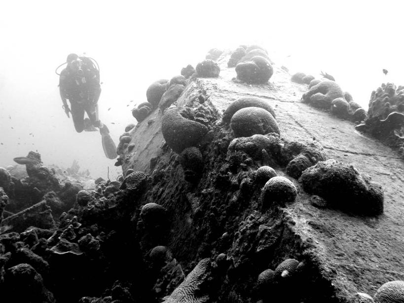 游泳,一个人,横图,室外,白天,运动服,探险,水下,朦胧,模糊,潜水镜,探索,潜水,摄影,脚蹼,潜水装备,背风群岛,冒险,暗礁,岩石,休闲活动,水肺潜水