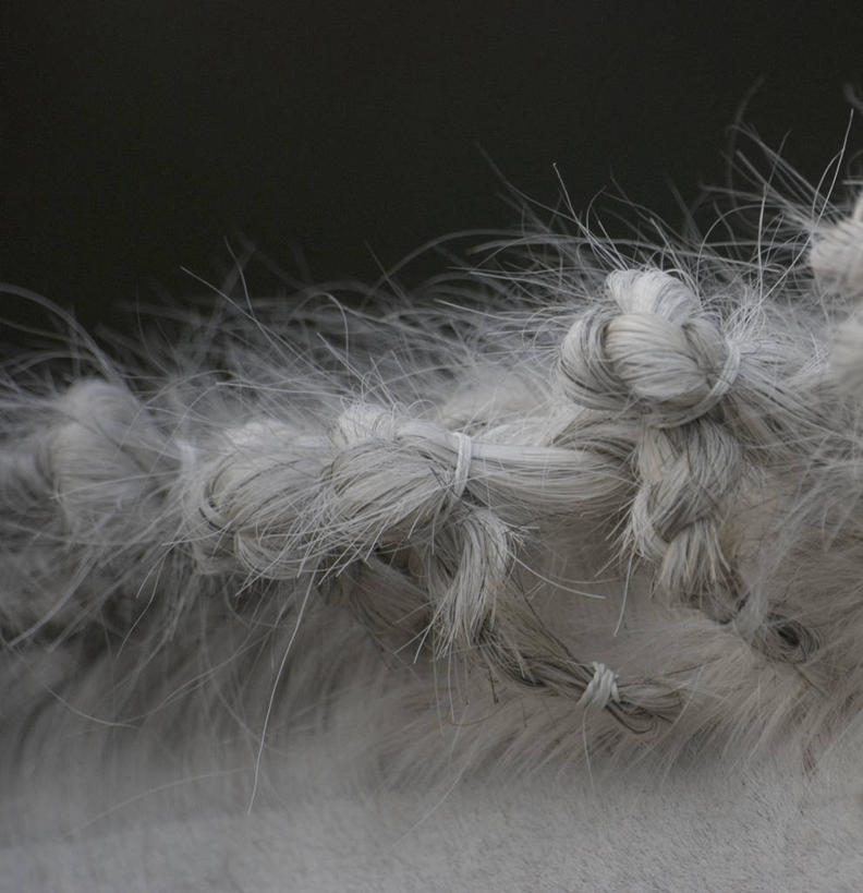 无人,竖图,室内,特写,宠物,马,英国,黑色背景,黑色,动物,家畜,打结,摄影,发辫,麻花辫,北欧,鬃毛,影棚拍摄