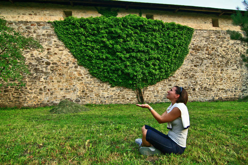 西方人,成年人,中年人,一个人,坐,举,微笑,横图,室外,白天,侧面,幸福,植物,欧洲,罗马尼亚,欧洲人,仅一个女性,仅一个人,墙,休闲装,草,衣服,绿色,看,托,向上看,仅一个中年女性,放松,乐趣,摄影,享乐,想象,想法,布科维纳,苏恰瓦,女人,女性,中年女性,白种人,举起,举手,举着,盘着腿坐,向上举,向上伸,向上托