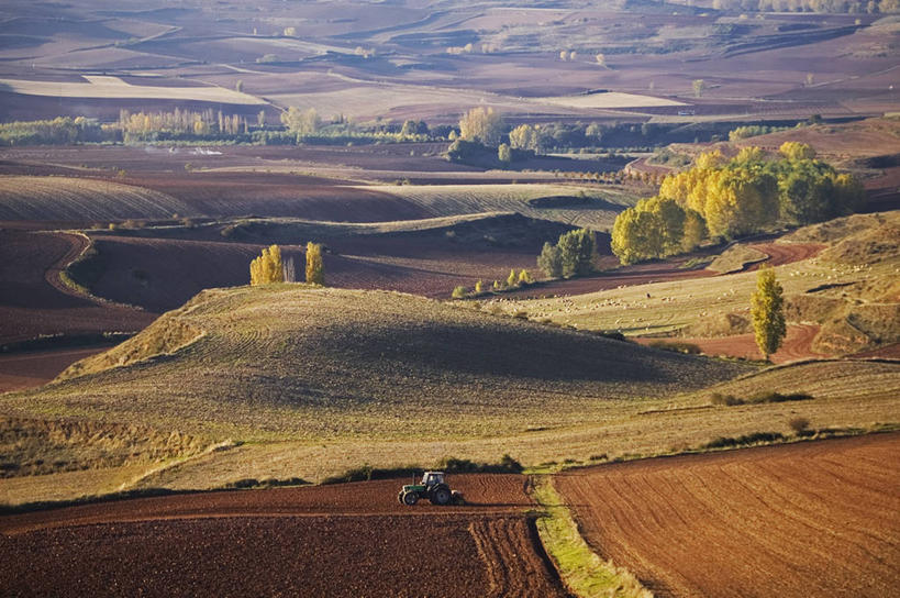 无人,横图,俯视,室外,白天,旅游,度假,农业,美景,山,西班牙,欧洲,地平线,地形,景观,田地,辽阔,地面,娱乐,树,风景,自然,享受,休闲,广阔,景色,放松,运输,摄影,宁静,一望无际,环境,南欧,自然风光,延伸,拖拉机,农具,伊比利亚半岛,天地相交,西班牙王国,耕具,无边无际,一马平川,拉里奥哈,拉里奥哈自治区,高角度拍摄,旅行