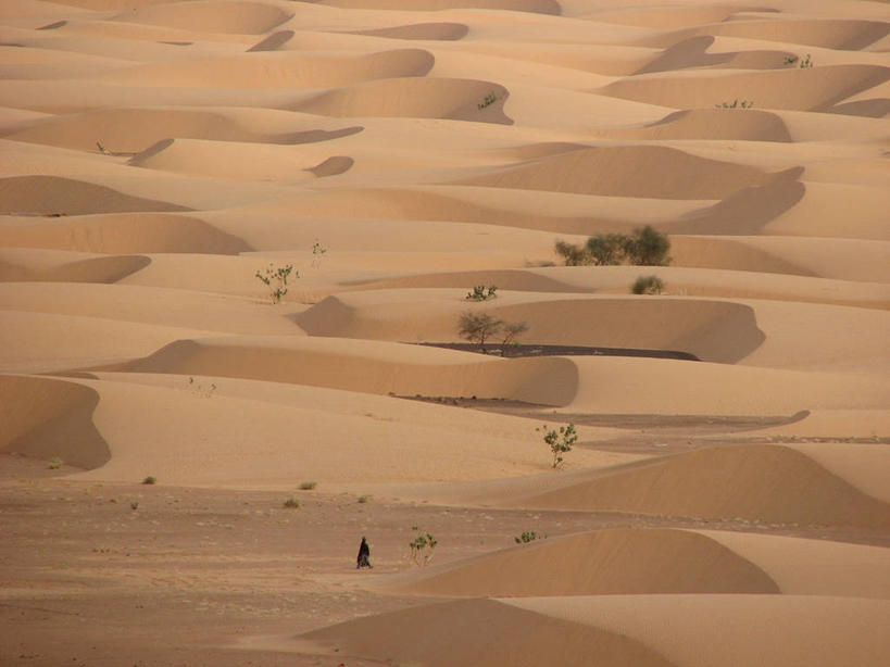 无人,横图,室外,白天,美景,沙漠,毛里塔尼亚,沙子,景观,沙丘,排列,风景,自然,景色,摄影,气候,自然风光,西非,式样,旅行