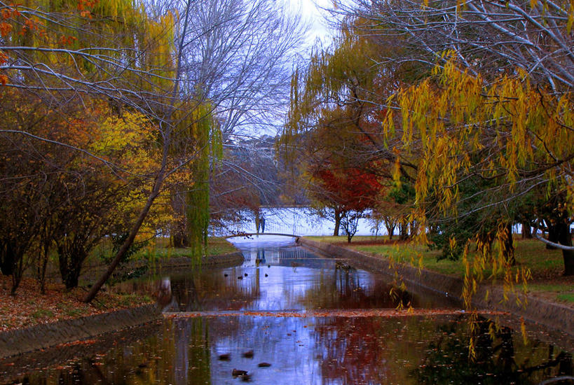 无人,横图,室外,白天,河流,美景,水,雪,澳大利亚,反射,景观,流水,冬天,首都,草,树,风景,自然,景色,寒冷,摄影,宁静,环境,自然风光,大洋洲,改变,澳洲,堪培拉,南方大陆,澳大拉西亚,澳大利亚联邦,澳大利亚首都领地,澳大利亚首都特区,秋天,旅行