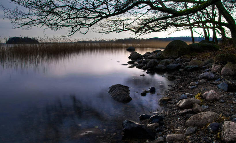 无人,横图,室外,芦苇,瑞典,欧洲,反射,草,树,风景,自然,黄昏,摄影,生长,宁静,环境,斯堪的纳维亚,北欧,斯堪的那维亚,斯堪的那维亚半岛,斯堪的纳维亚半岛,斯堪狄纳维亚半岛,瑞典王国,东约特兰省,海滩,岩石