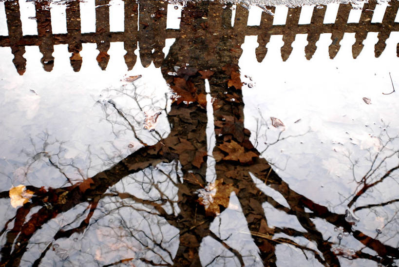 无人,横图,室外,白天,水,美国,反射,栅栏,篱笆,自然,摄影,环境,俄勒冈州,波特兰,水坑,巷