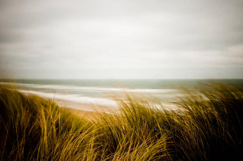 无人,横图,室外,海洋,水,风,爱尔兰,地平线,海岸线,水平线,草,风景,自然,黄昏,摄影,环境,北欧,伦斯特省,威克洛郡