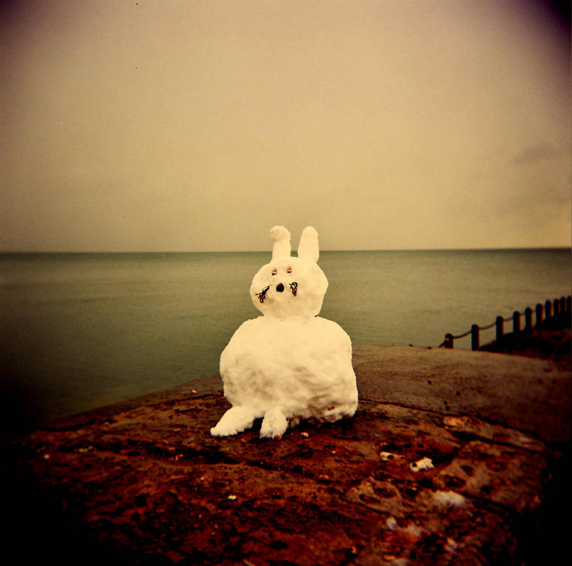 无人,栏杆,码头,横图,阶调图片,室外,海洋,水,雪,哺乳动物,英国,欧洲,兔子,地平线,水平线,凌乱,英格兰,天空,黄昏,动物,摄影,兔,创造力,西欧,北欧,大不列颠,家兔,大不列颠及北爱尔兰联合王国,大不列颠及爱尔兰联合王国,萨塞克斯,萨塞克斯郡,苏塞克斯,想法,东萨塞克斯郡,野味,大不列颠王国,大英帝国,联合王国,日不落帝国,晕影,布赖顿